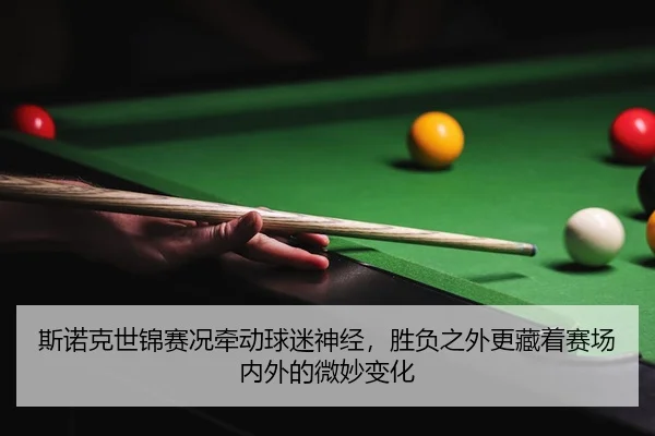 si-nuo-ke-shi-jin-sai-kuang-qian-dong-qiu-mi-shen-jing-sheng-fu-zhi-wai-geng-cang-zhe-sai-chang-nei-wai-de-wei-miao-3-794.jpg